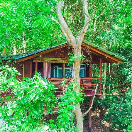 Jungle Host Hostel And Tree House สิกิริยา ภายนอก รูปภาพ