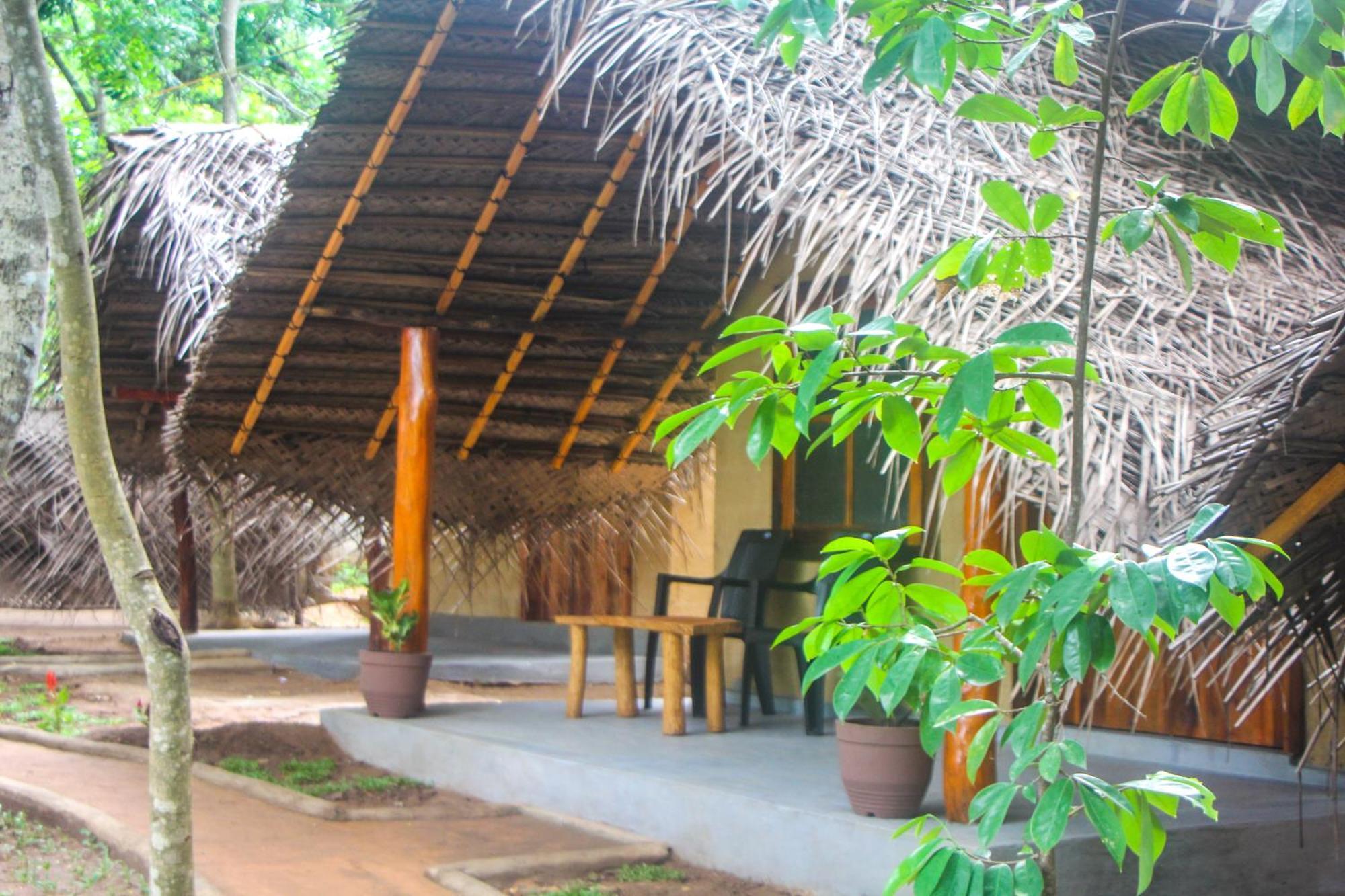 Jungle Host Hostel And Tree House สิกิริยา ภายนอก รูปภาพ