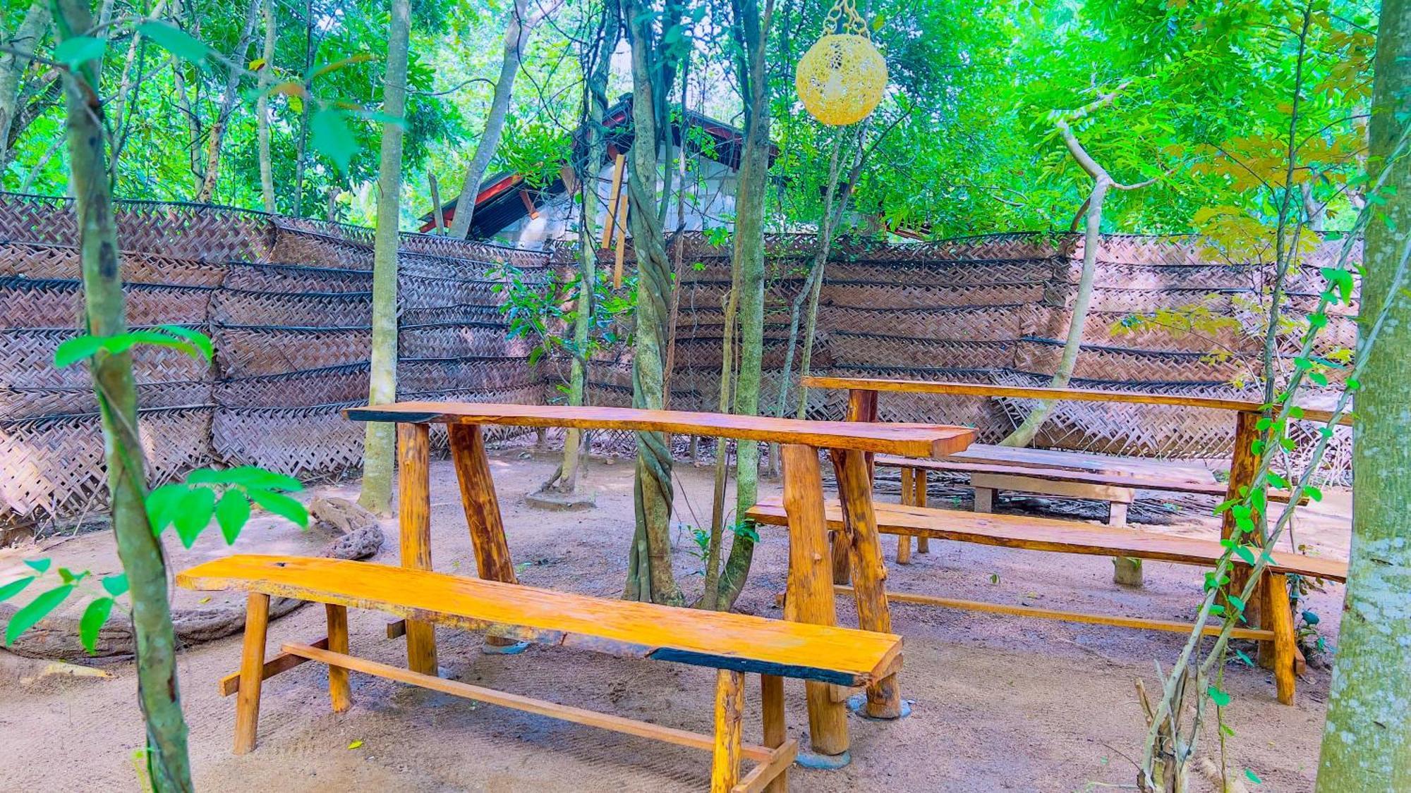 Jungle Host Hostel And Tree House สิกิริยา ภายนอก รูปภาพ