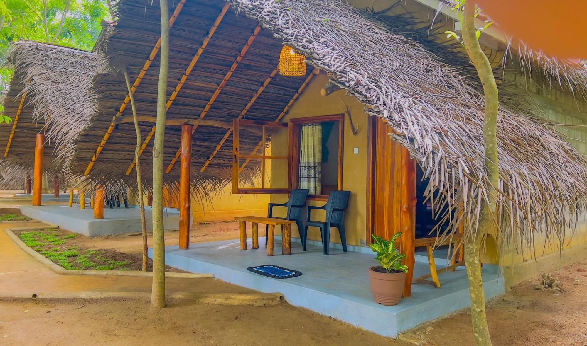 Jungle Host Hostel And Tree House สิกิริยา ภายนอก รูปภาพ