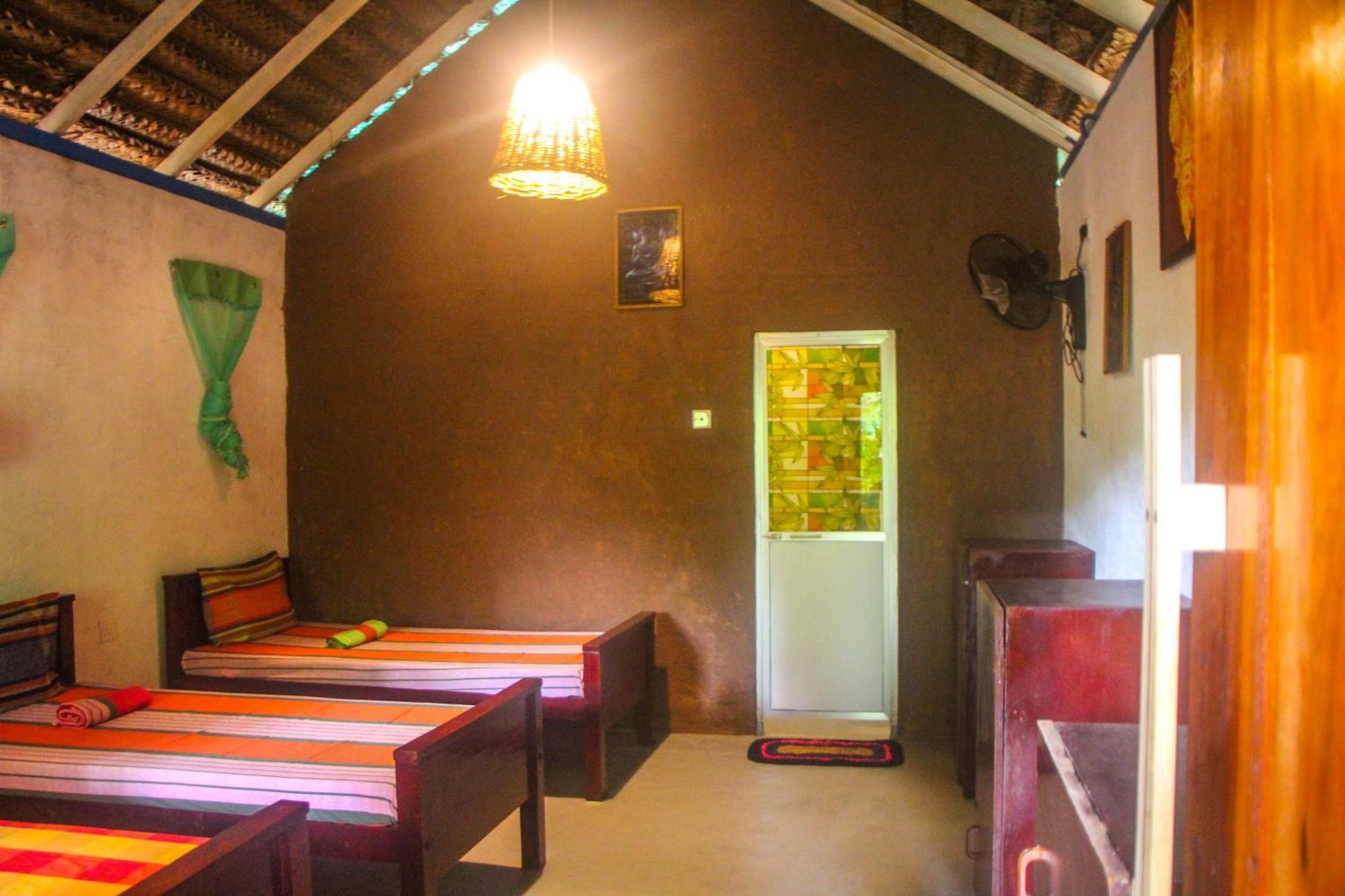 Jungle Host Hostel And Tree House สิกิริยา ภายนอก รูปภาพ