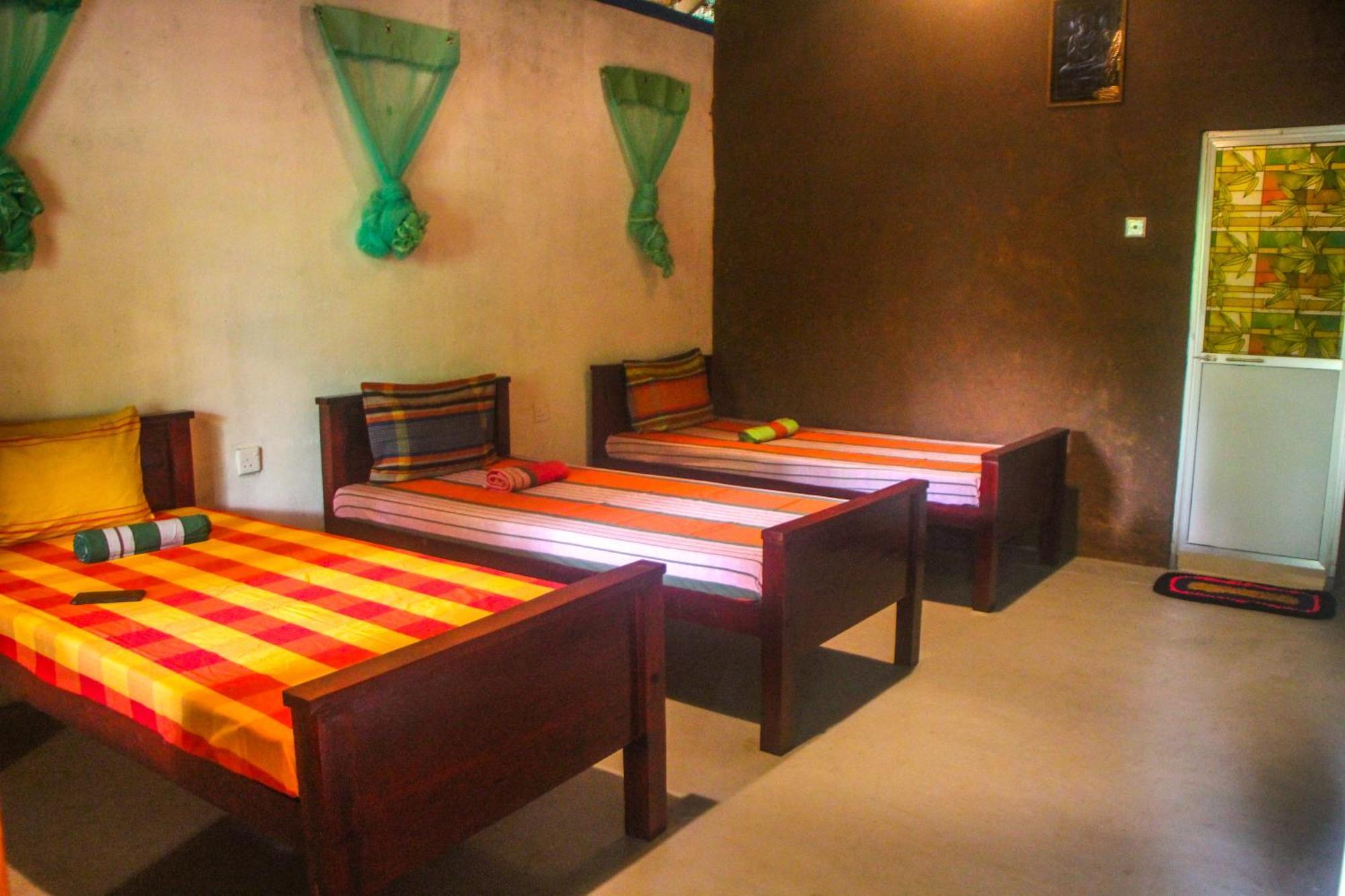 Jungle Host Hostel And Tree House สิกิริยา ภายนอก รูปภาพ
