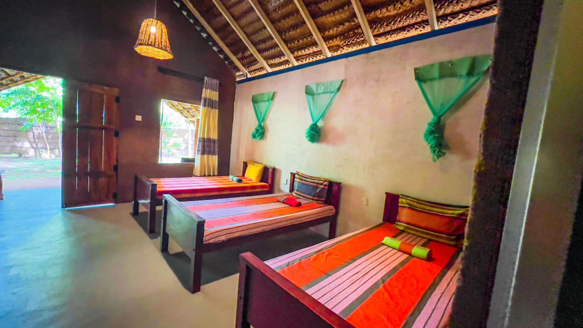 Jungle Host Hostel And Tree House สิกิริยา ภายนอก รูปภาพ