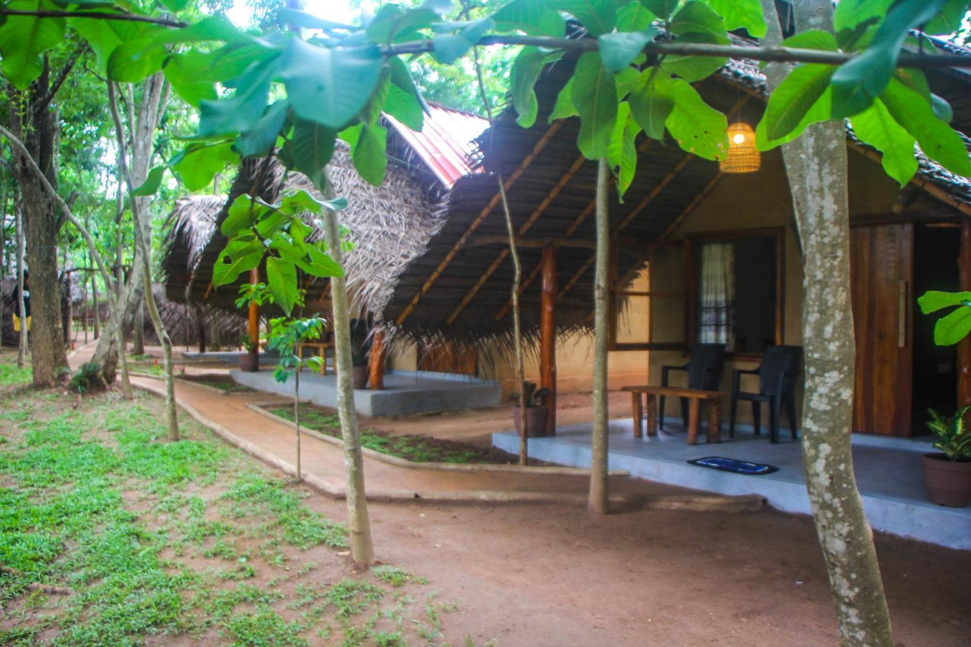 Jungle Host Hostel And Tree House สิกิริยา ภายนอก รูปภาพ
