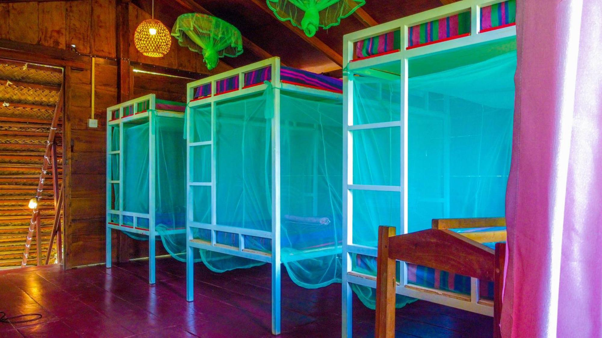 Jungle Host Hostel And Tree House สิกิริยา ภายนอก รูปภาพ