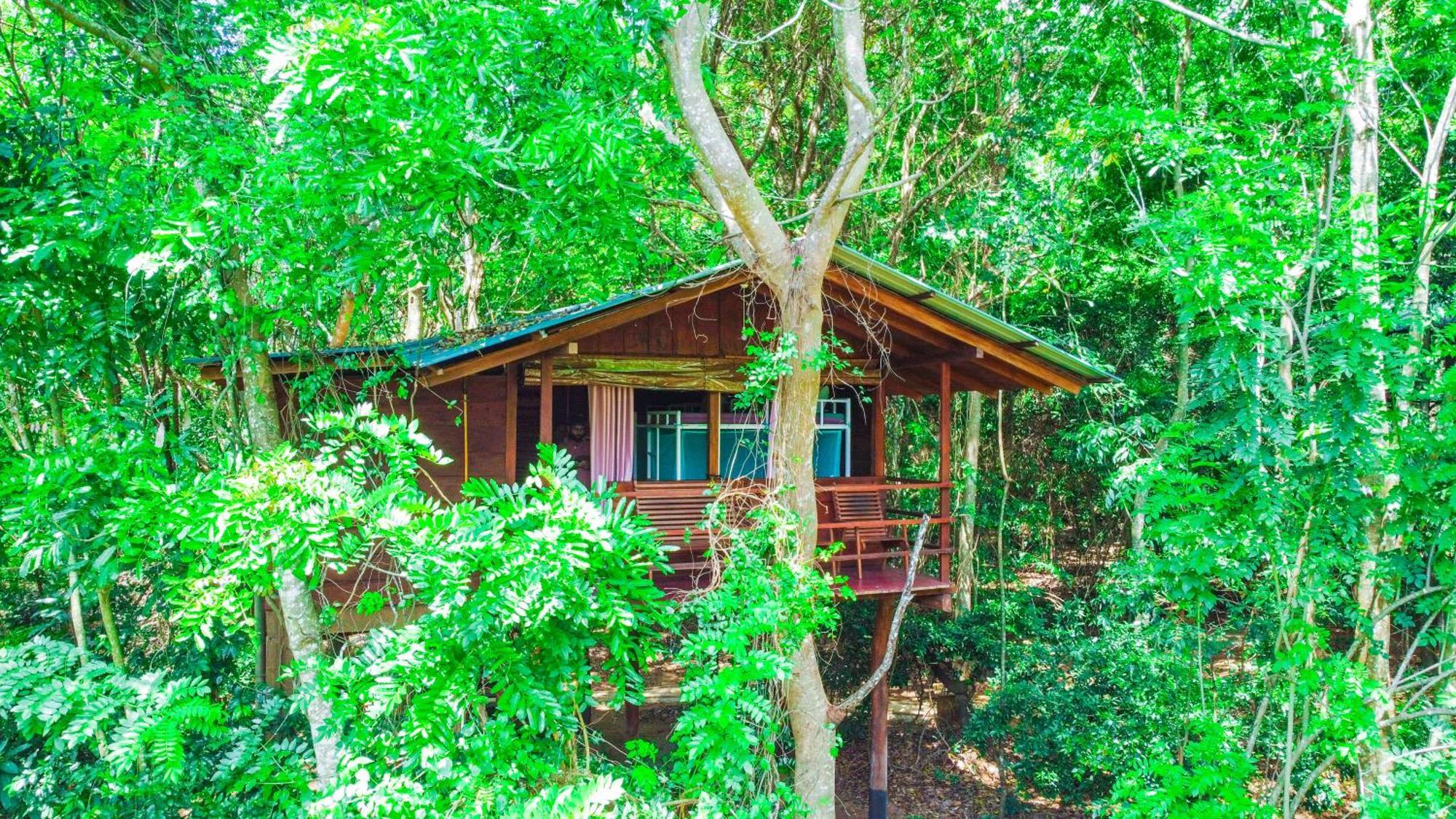 Jungle Host Hostel And Tree House สิกิริยา ภายนอก รูปภาพ