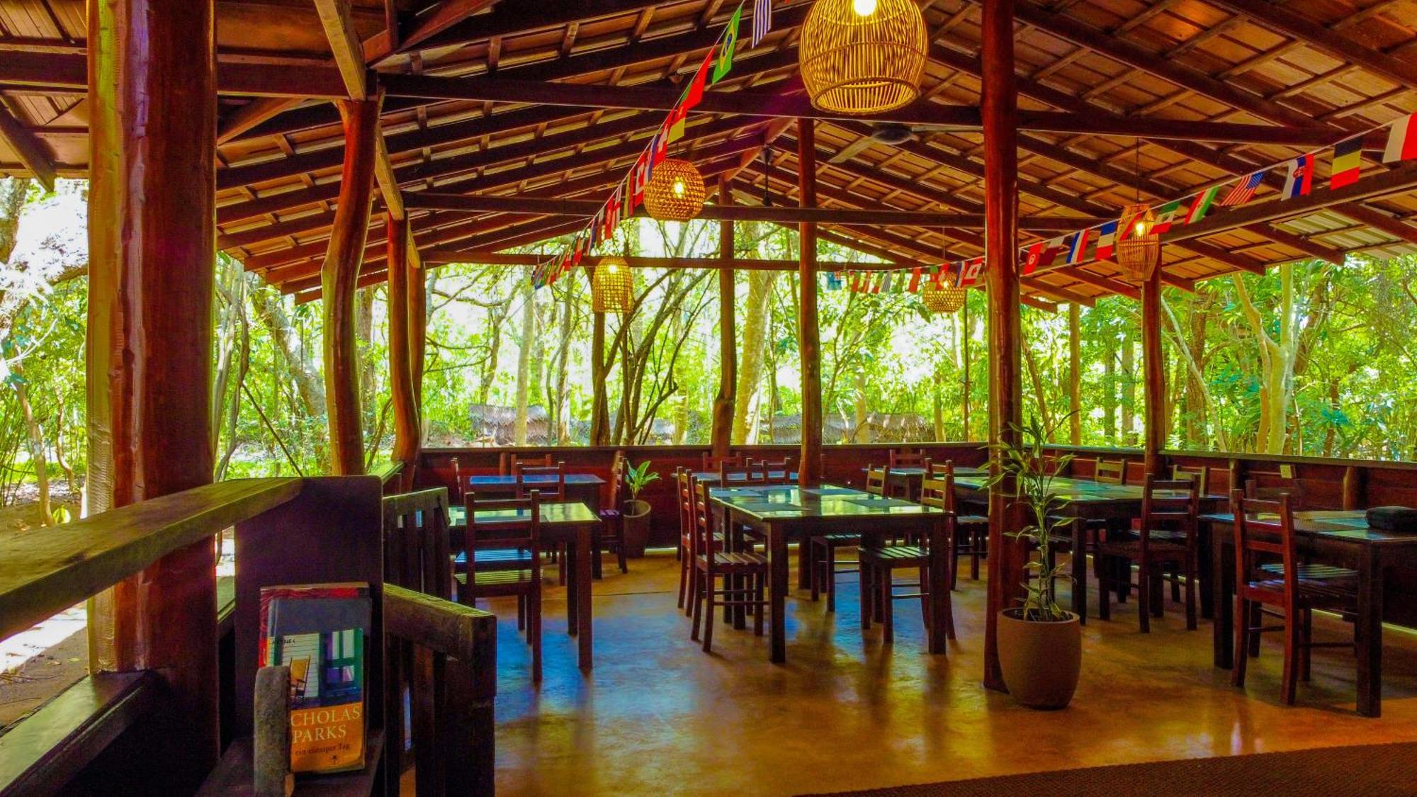 Jungle Host Hostel And Tree House สิกิริยา ภายนอก รูปภาพ