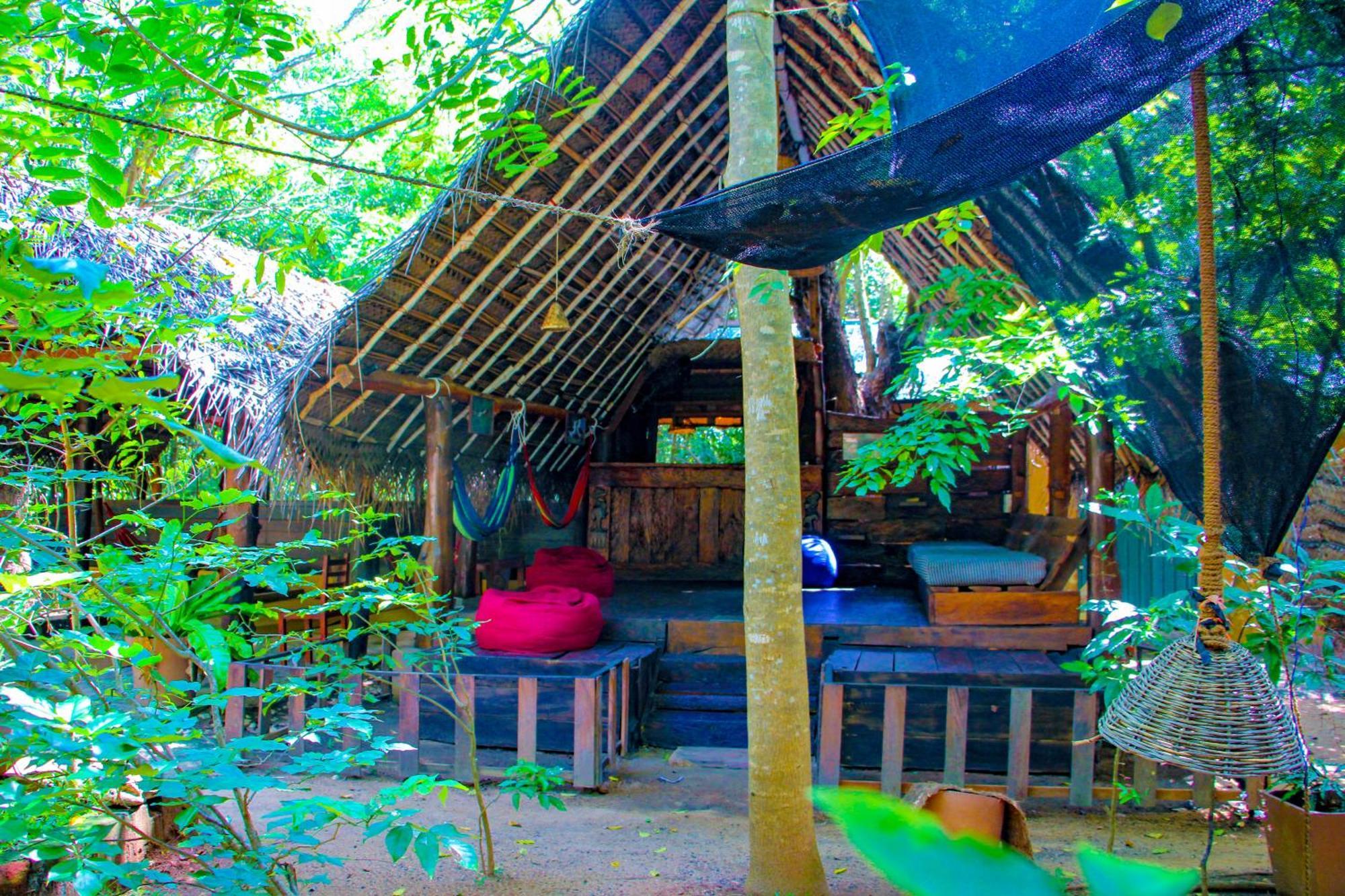 Jungle Host Hostel And Tree House สิกิริยา ภายนอก รูปภาพ
