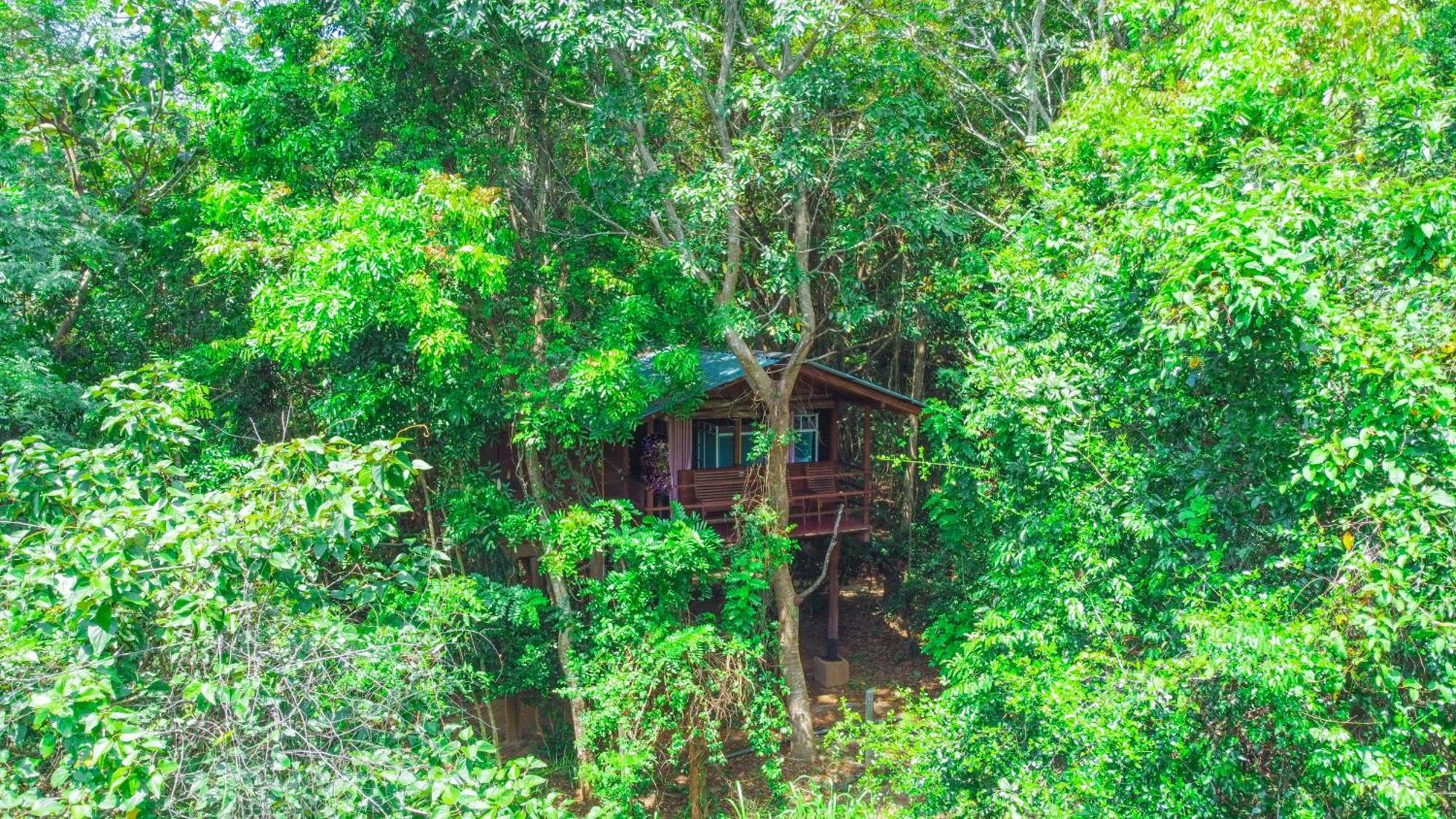 Jungle Host Hostel And Tree House สิกิริยา ภายนอก รูปภาพ