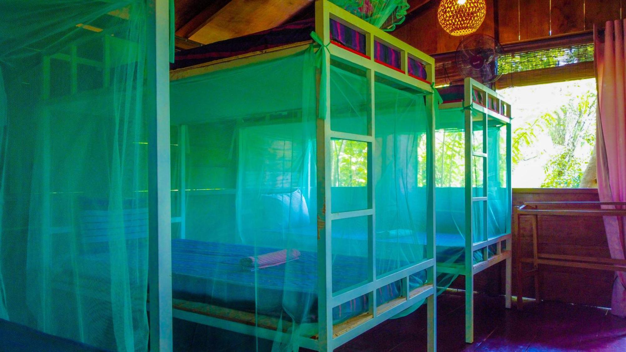 Jungle Host Hostel And Tree House สิกิริยา ภายนอก รูปภาพ