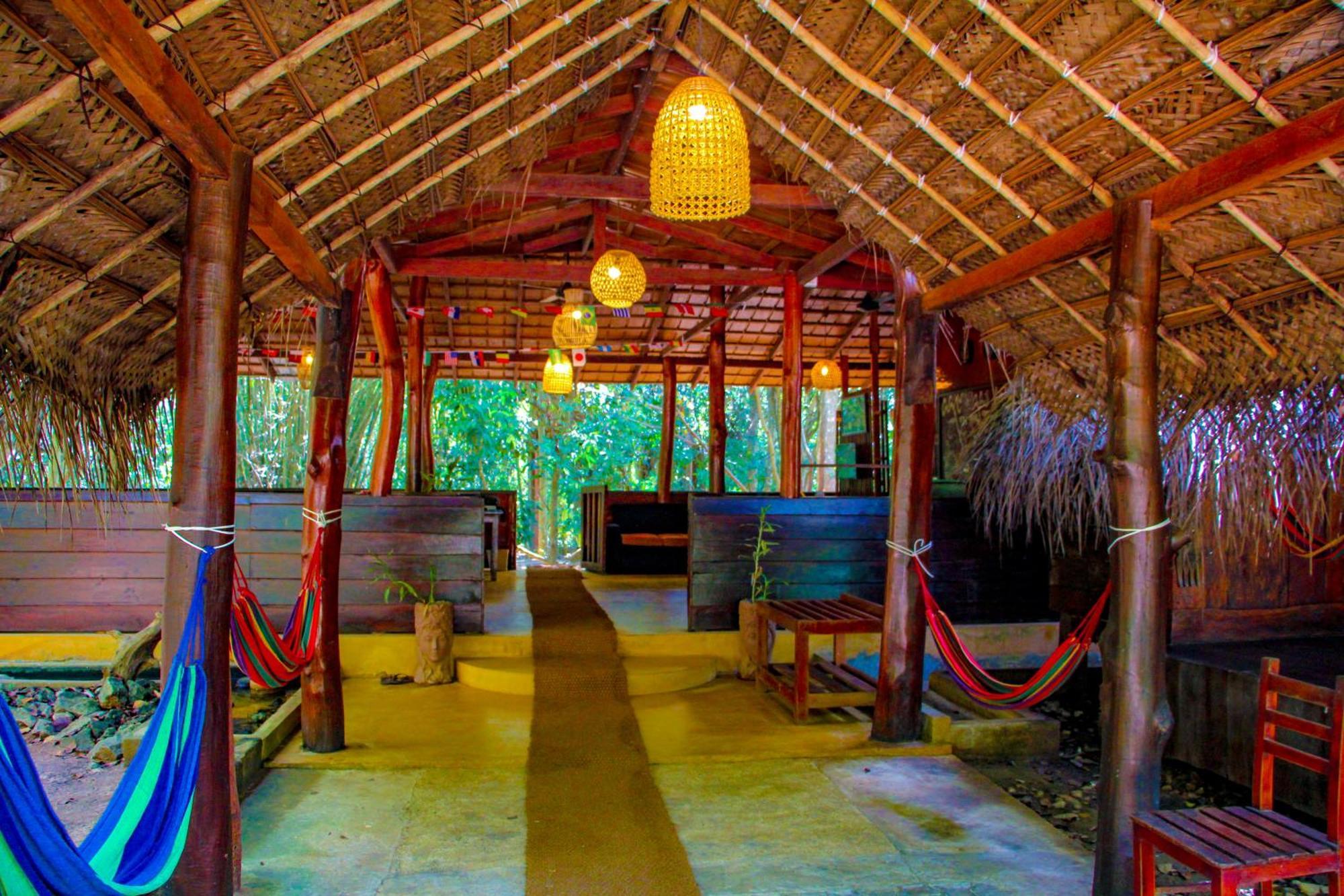Jungle Host Hostel And Tree House สิกิริยา ภายนอก รูปภาพ