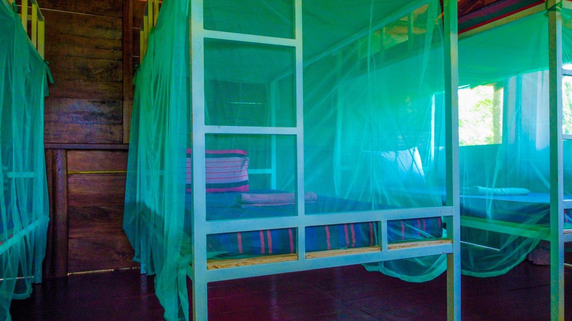 Jungle Host Hostel And Tree House สิกิริยา ภายนอก รูปภาพ