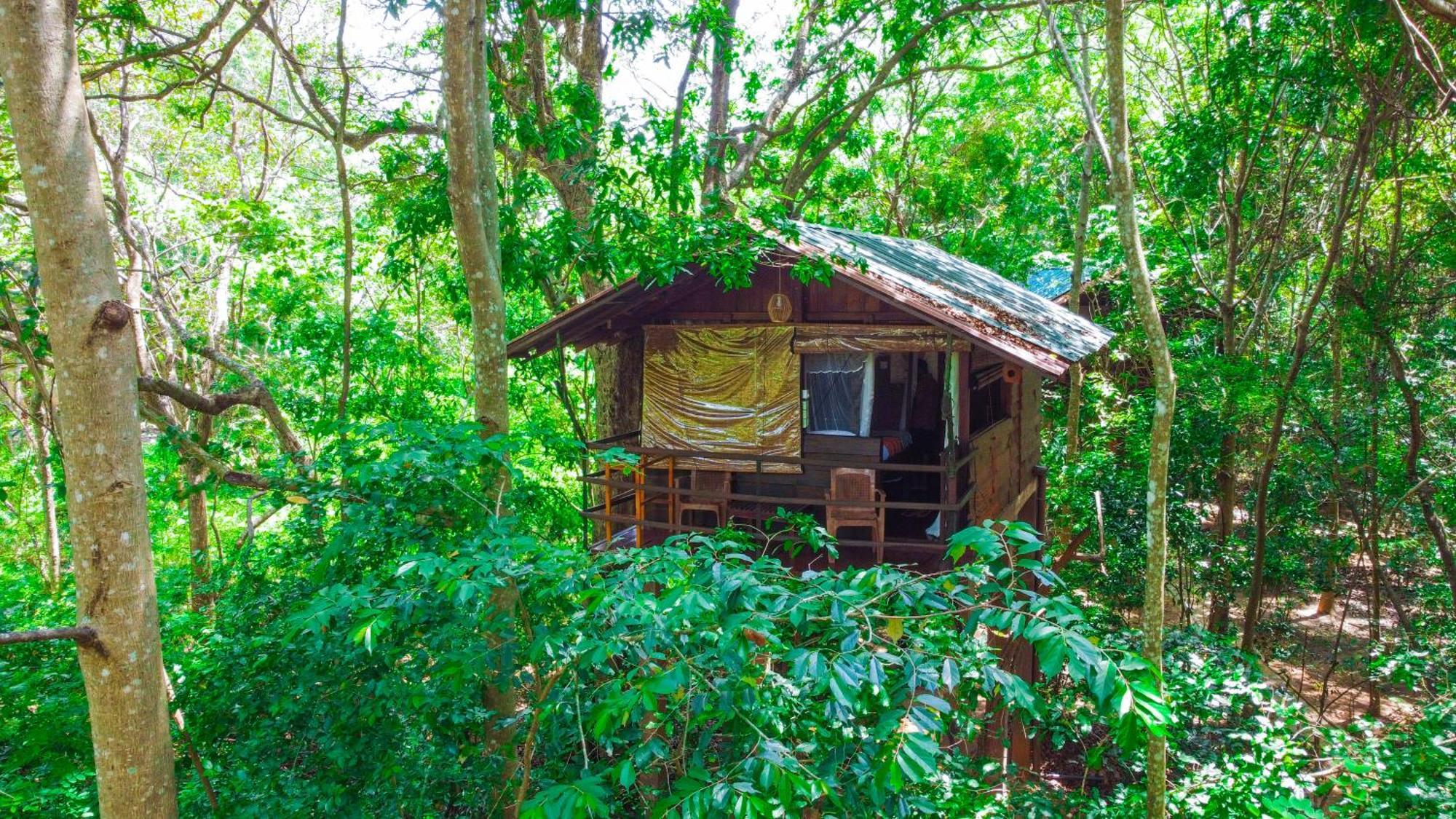 Jungle Host Hostel And Tree House สิกิริยา ภายนอก รูปภาพ