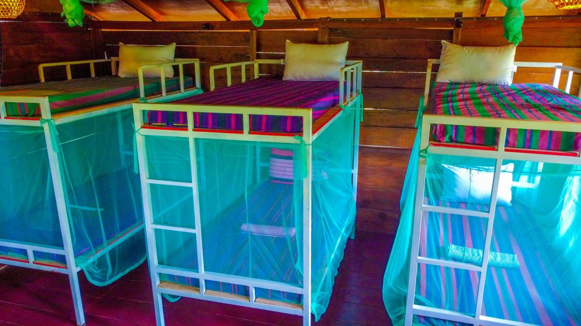 Jungle Host Hostel And Tree House สิกิริยา ภายนอก รูปภาพ
