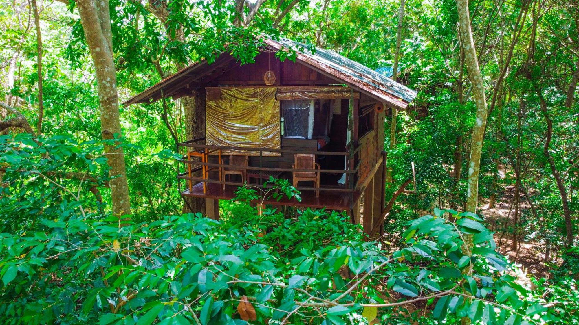 Jungle Host Hostel And Tree House สิกิริยา ภายนอก รูปภาพ