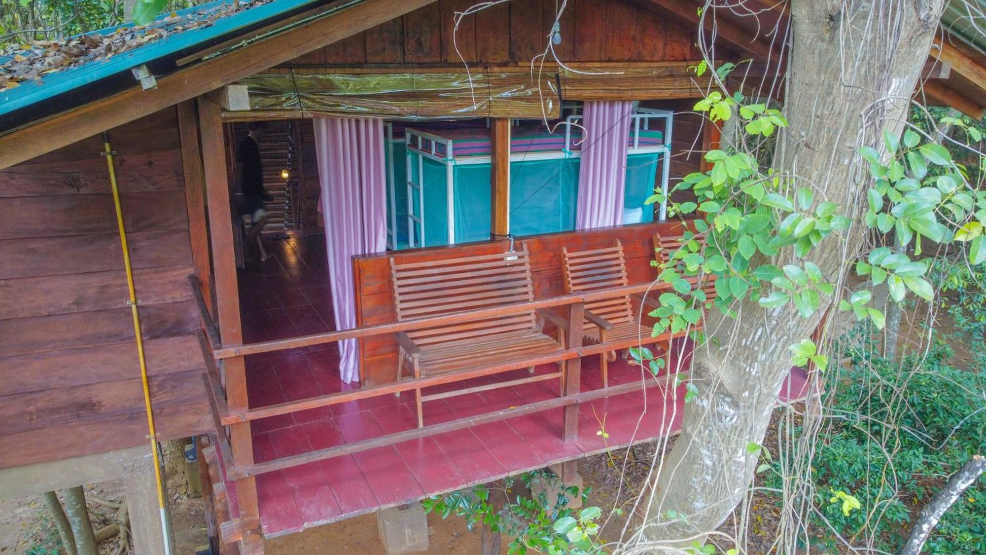 Jungle Host Hostel And Tree House สิกิริยา ภายนอก รูปภาพ