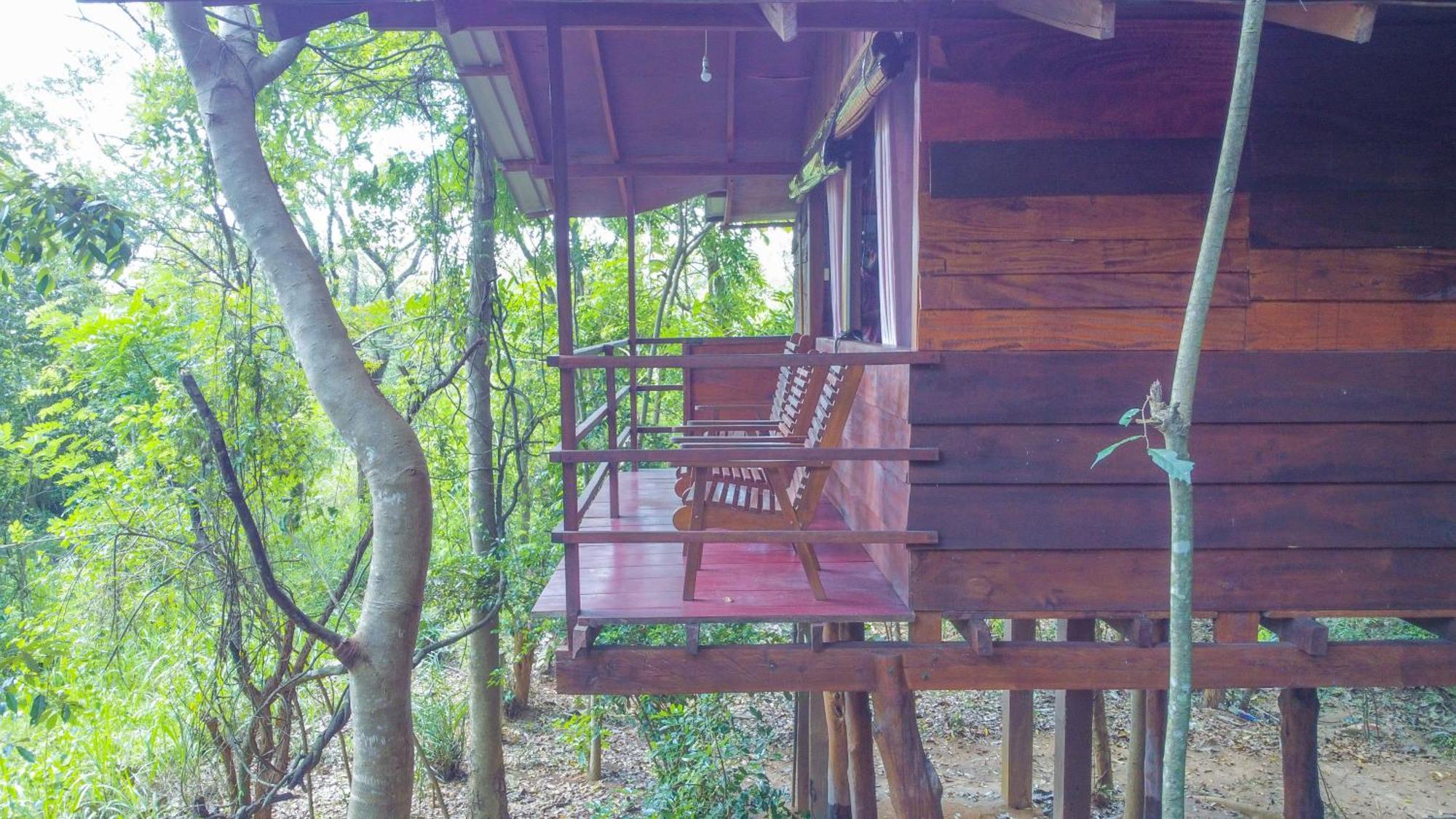 Jungle Host Hostel And Tree House สิกิริยา ภายนอก รูปภาพ