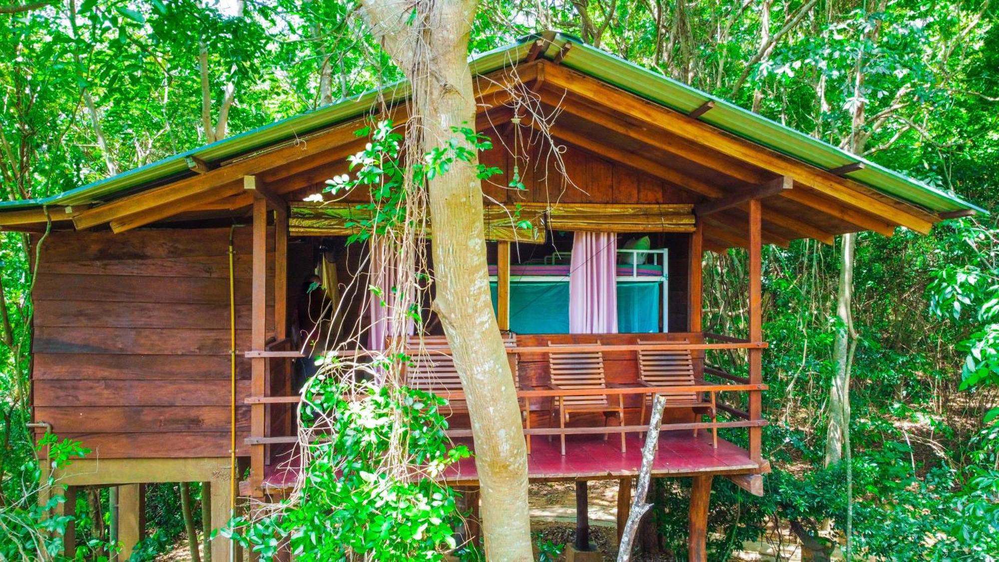 Jungle Host Hostel And Tree House สิกิริยา ภายนอก รูปภาพ