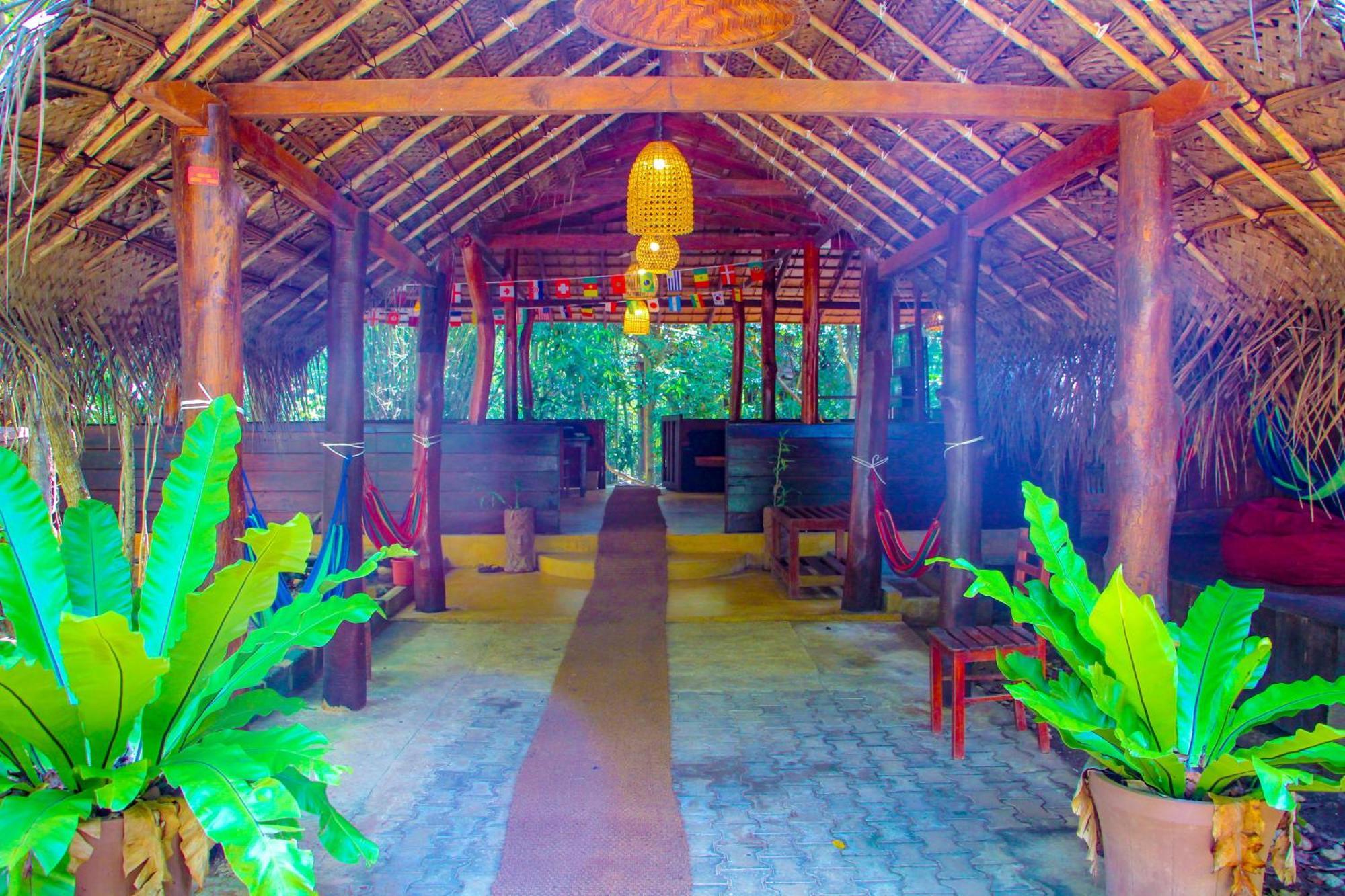 Jungle Host Hostel And Tree House สิกิริยา ภายนอก รูปภาพ