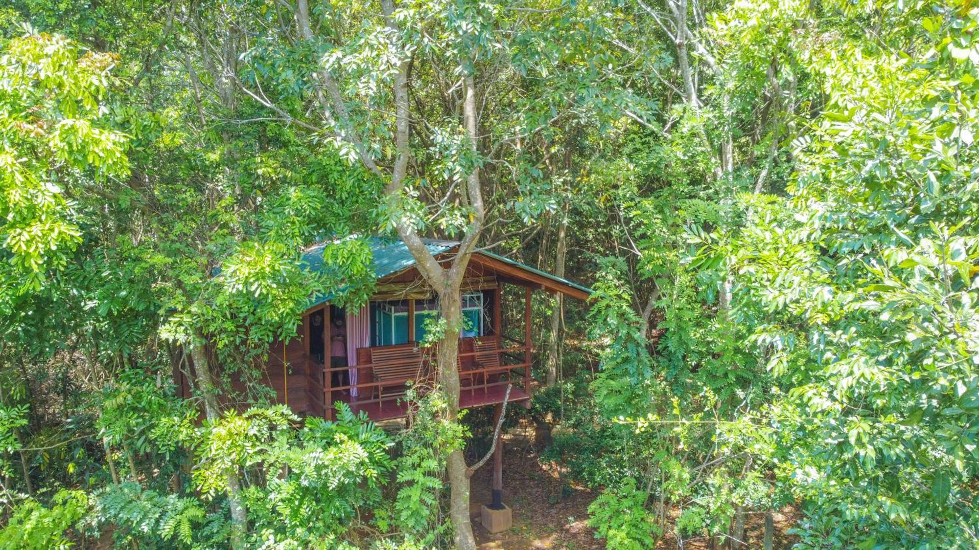 Jungle Host Hostel And Tree House สิกิริยา ภายนอก รูปภาพ