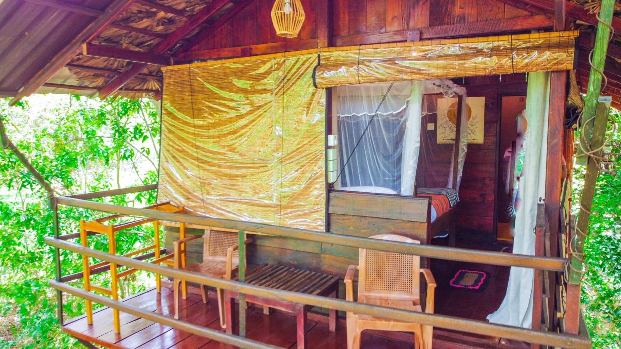 Jungle Host Hostel And Tree House สิกิริยา ภายนอก รูปภาพ