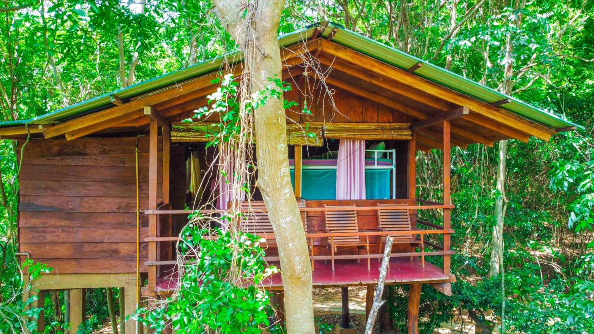 Jungle Host Hostel And Tree House สิกิริยา ภายนอก รูปภาพ