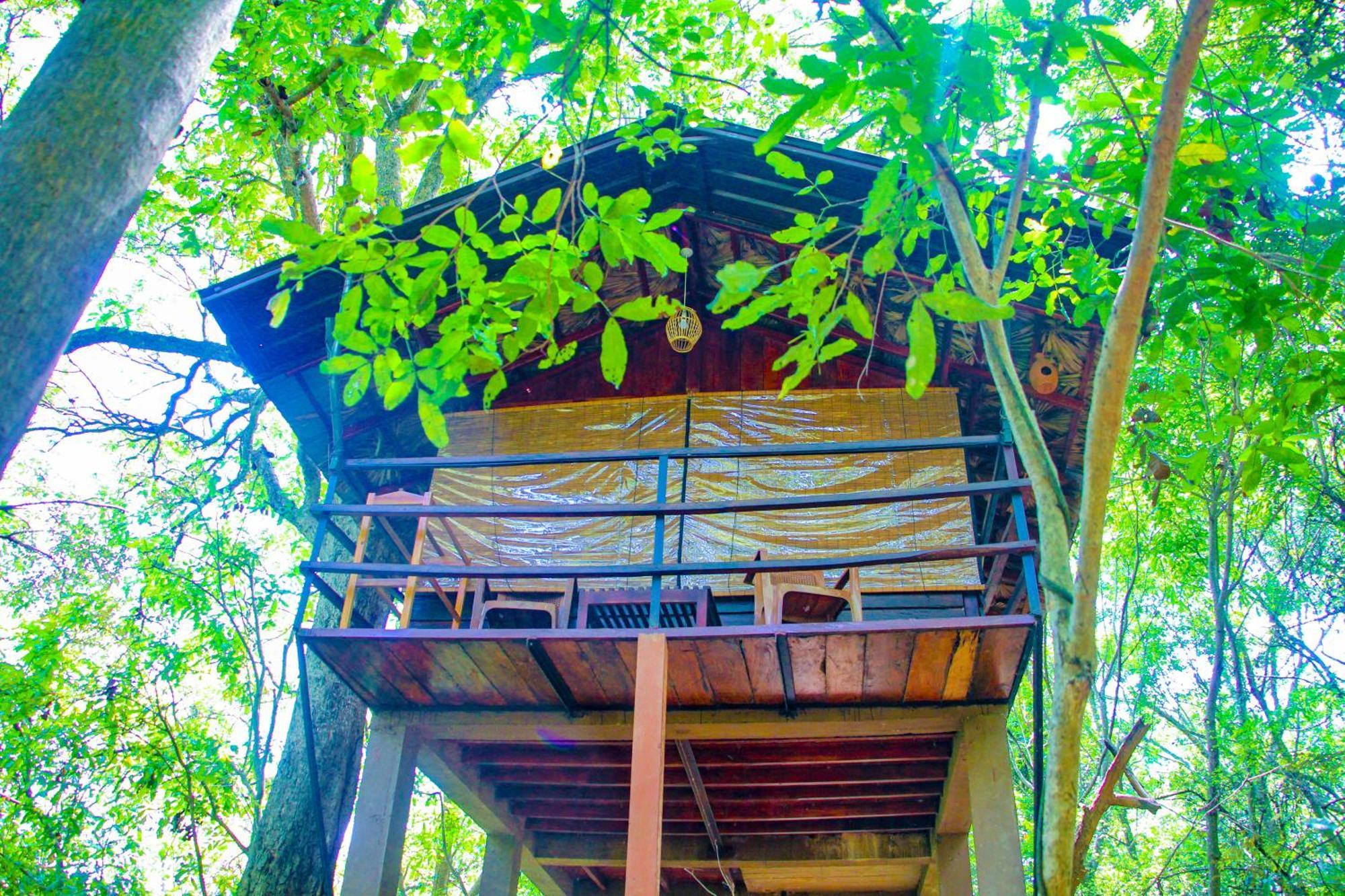 Jungle Host Hostel And Tree House สิกิริยา ภายนอก รูปภาพ