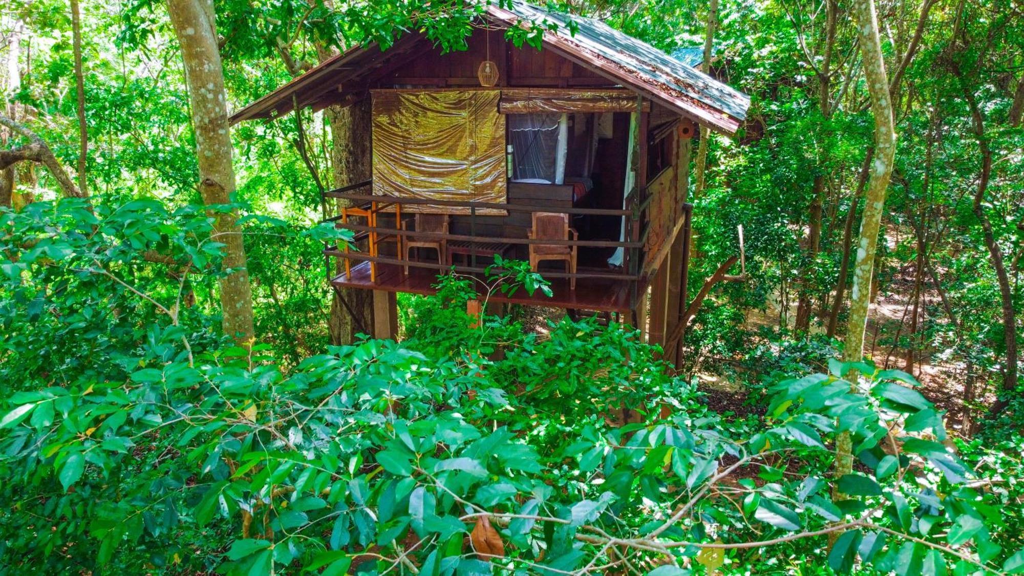 Jungle Host Hostel And Tree House สิกิริยา ภายนอก รูปภาพ